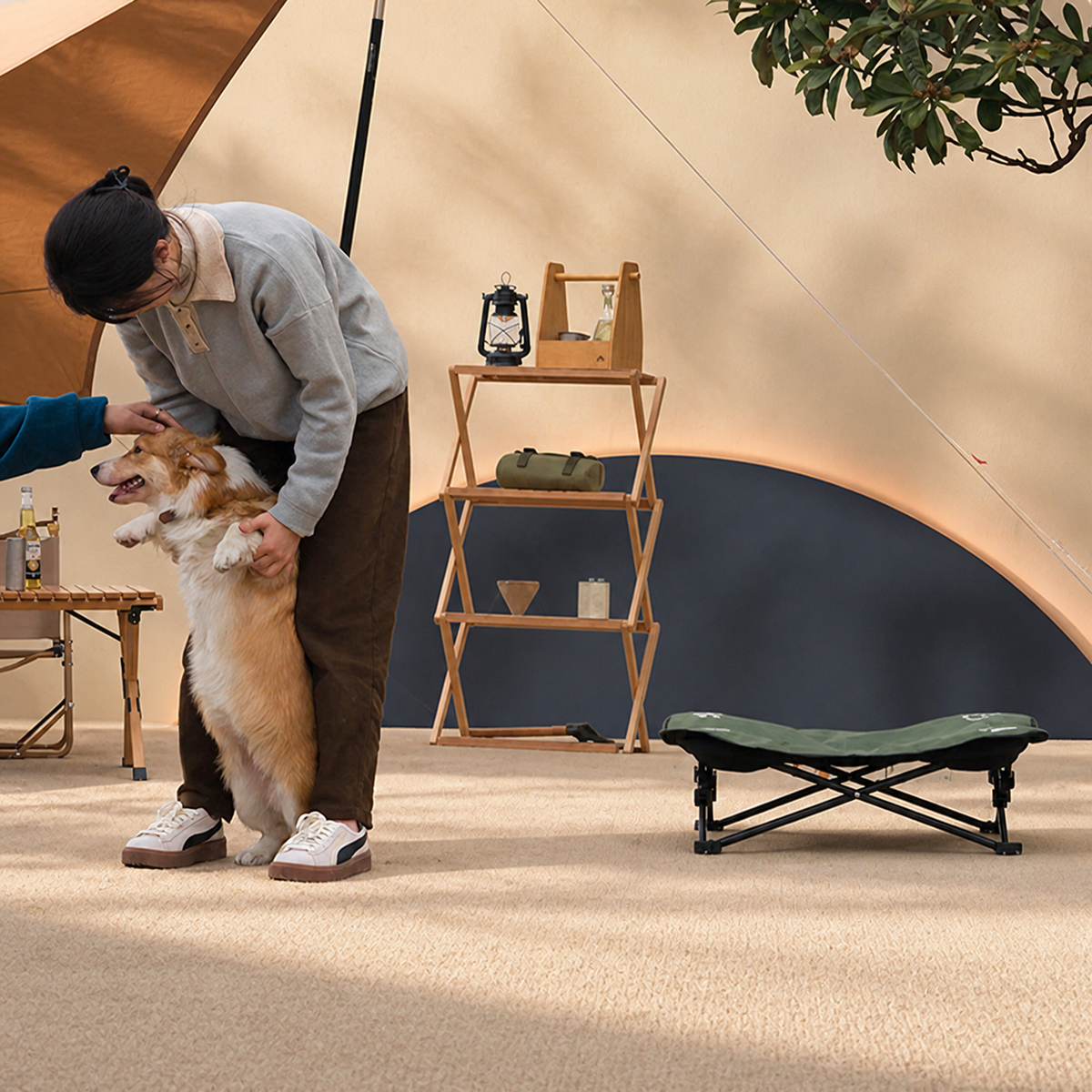 Foldable Elevated Dog Bed — product image 06