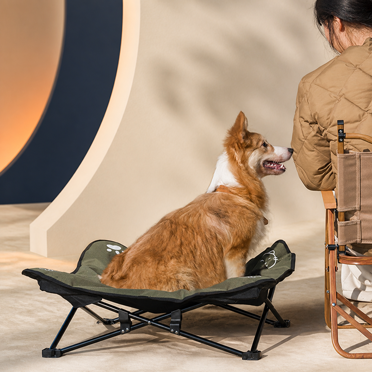 Foldable Elevated Dog Bed — product image 05
