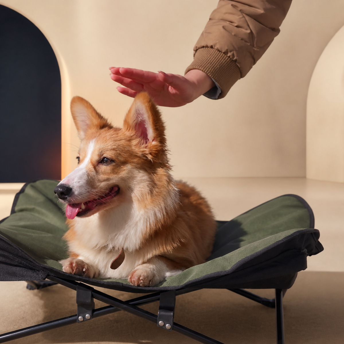 Foldable Elevated Dog Bed — product image 07