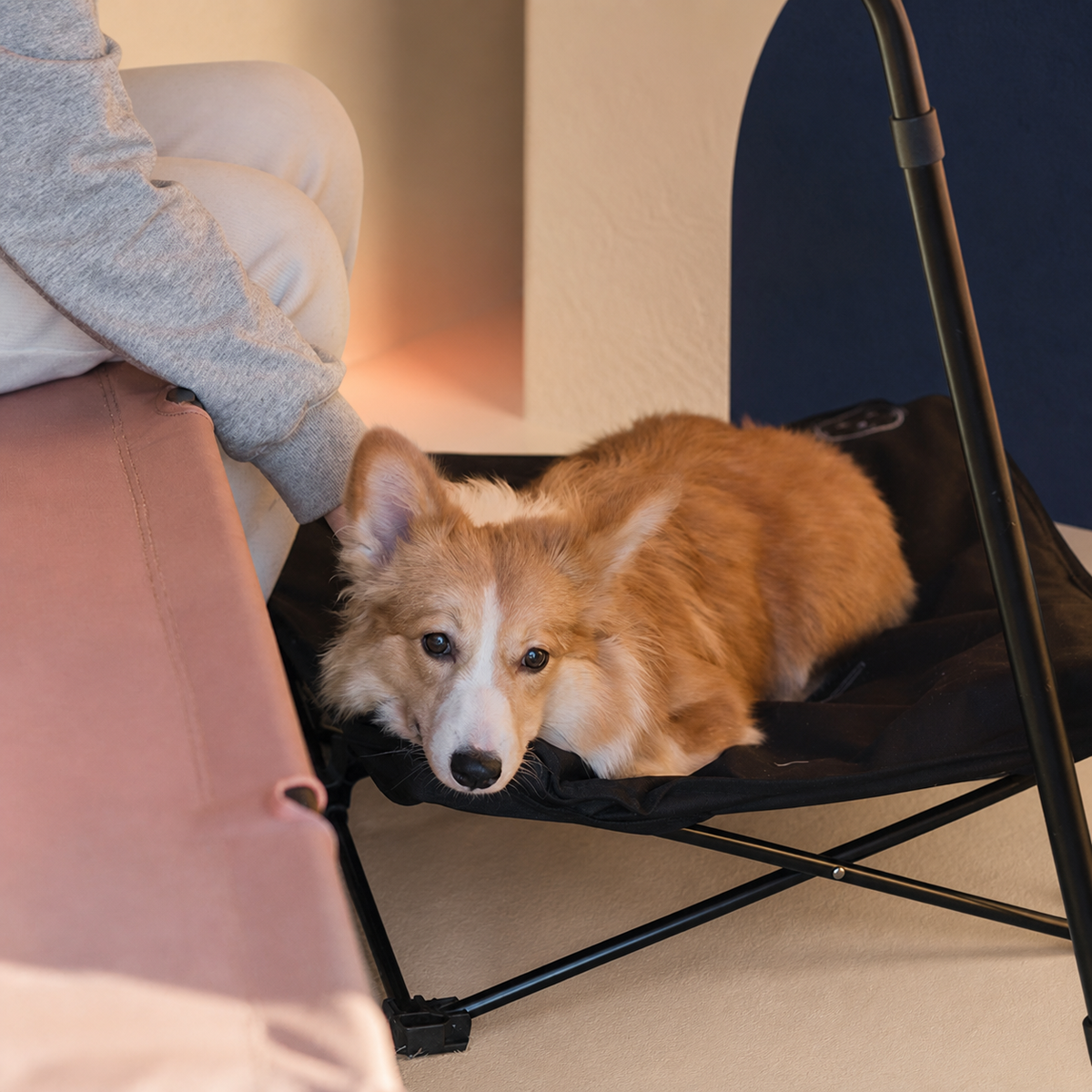 Foldable Elevated Dog Bed — product image 08