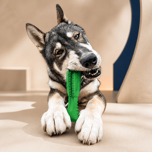 Bristled Dog Chew Toy — product image 01